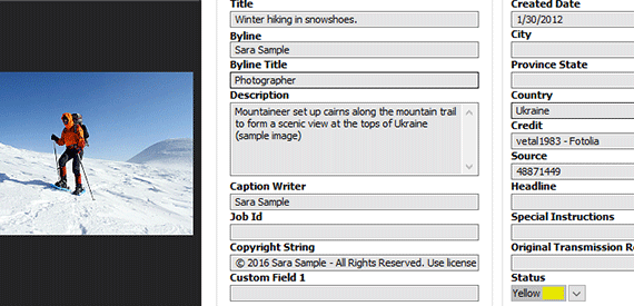 Thumbnails and Previews of All File Types