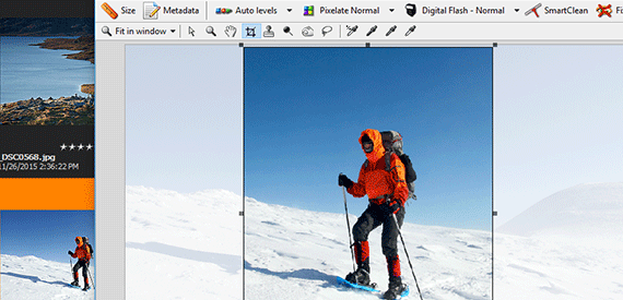 Find, Update and Change Files with a Click