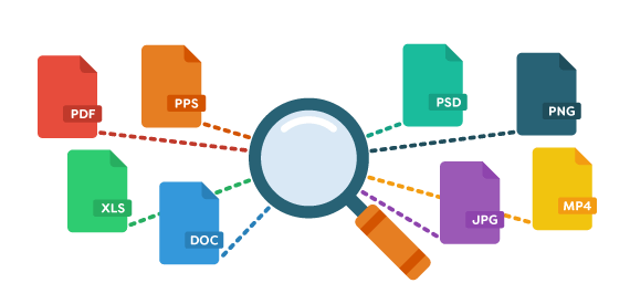 Search All File Types