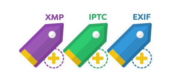Customize Your Metadata
